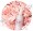 Etude House Pink Cherry Blossom Allover Spray 春季櫻花限定香水噴霧 200ml