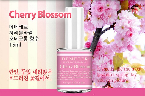 Cherry_Blossom_-1.jpg